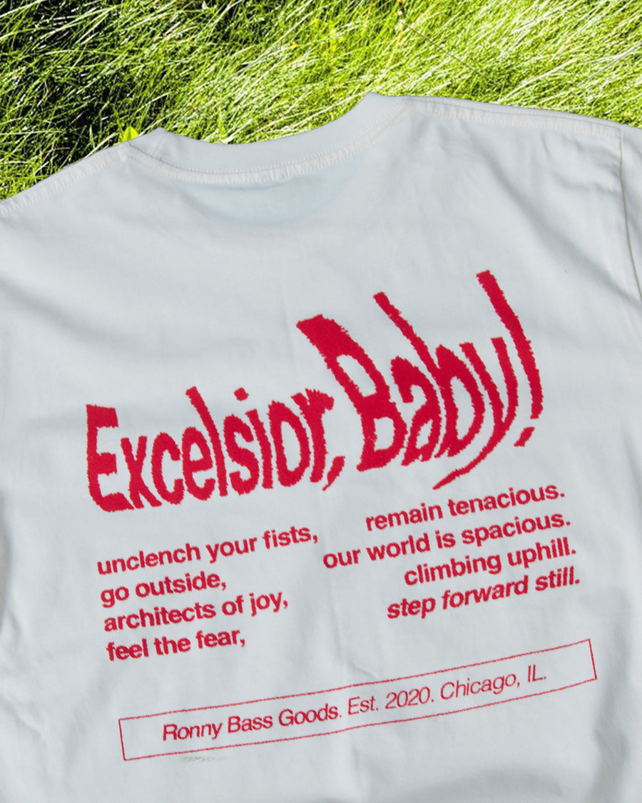 Excelsior, Baby! T - Standard